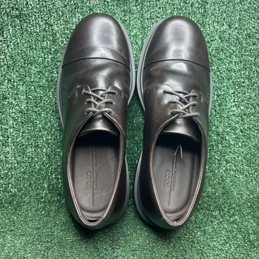 Ecco item you